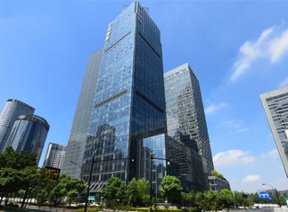 华成国际发展大厦